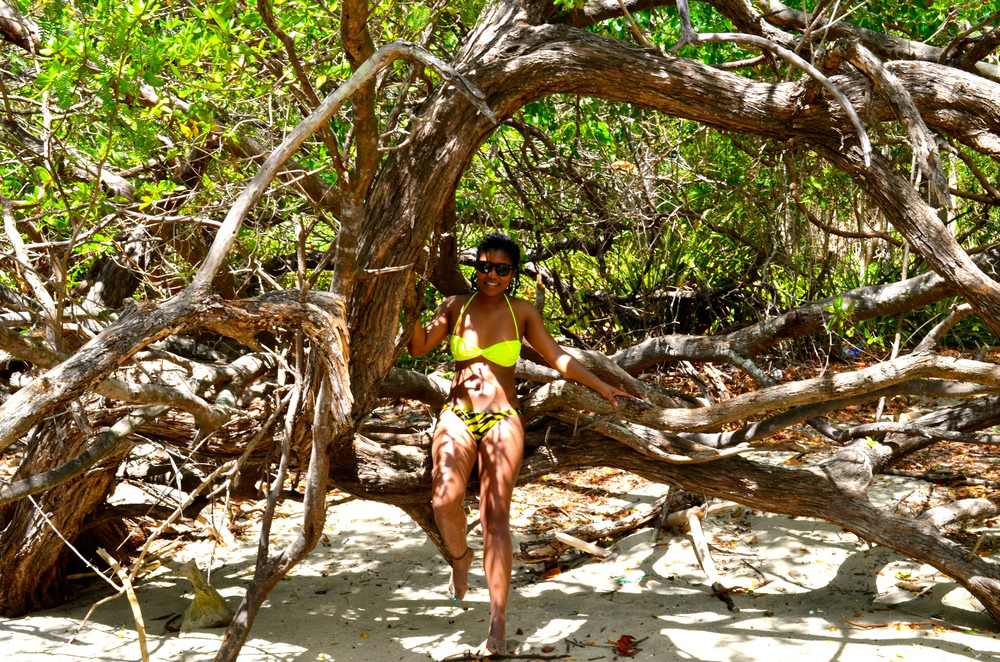 Mangroves Costa Rica