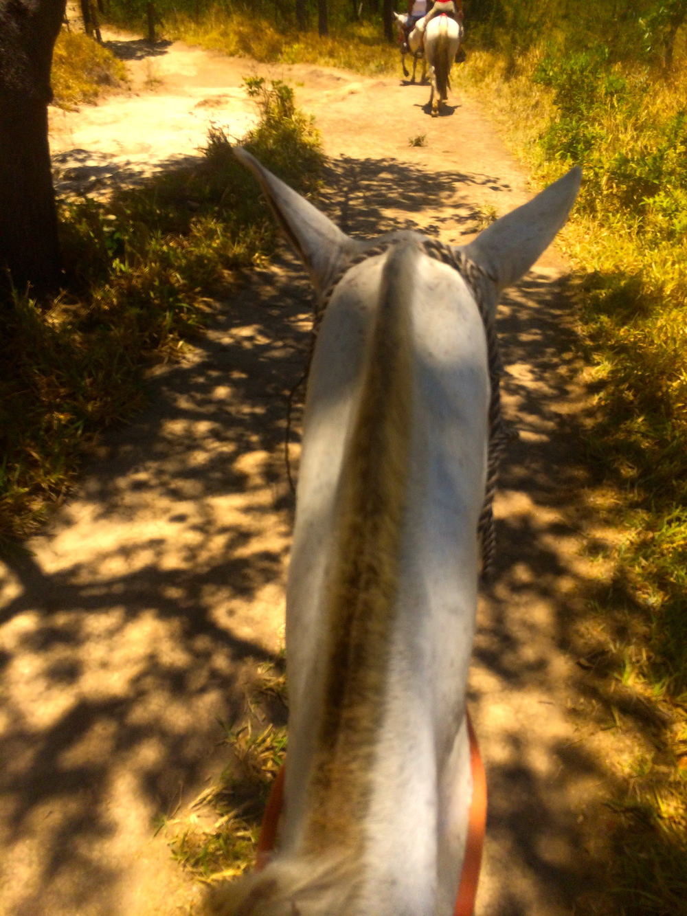 horseback riding costa rica