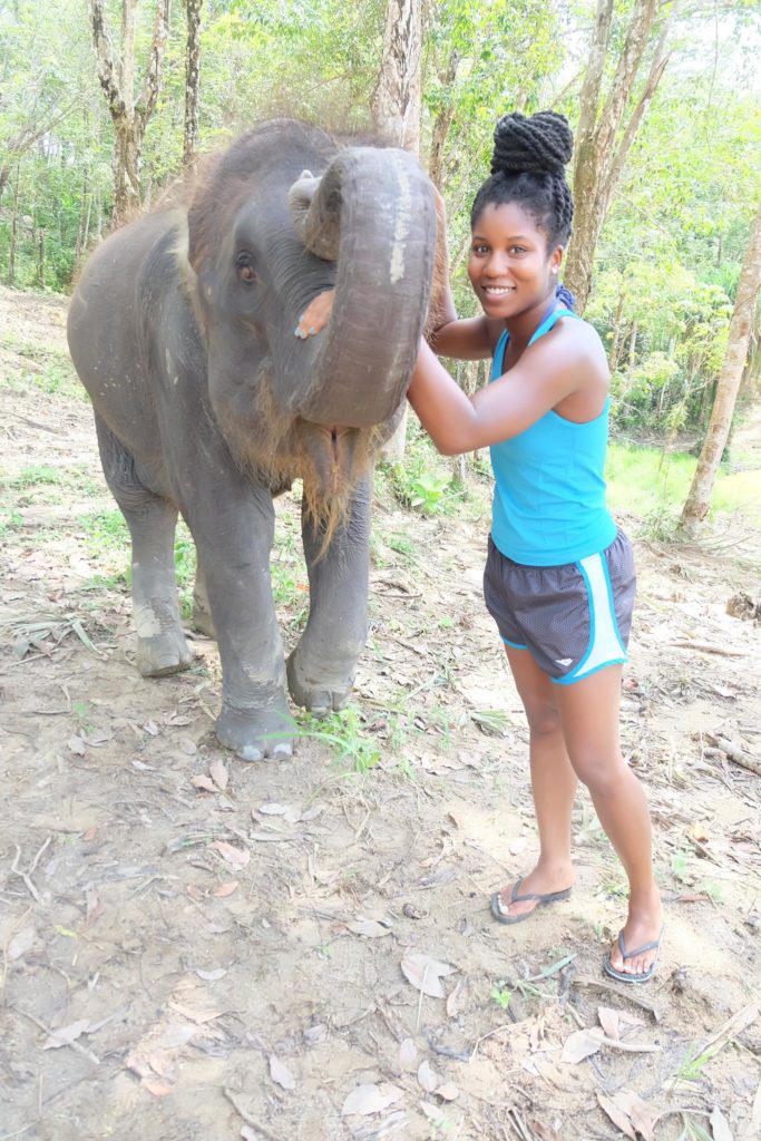 elephant jungle sanctuary phuket