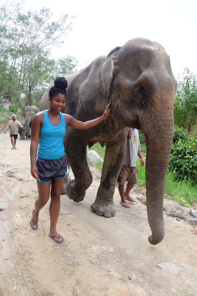 walking with elephants elephant jungle sanctuary