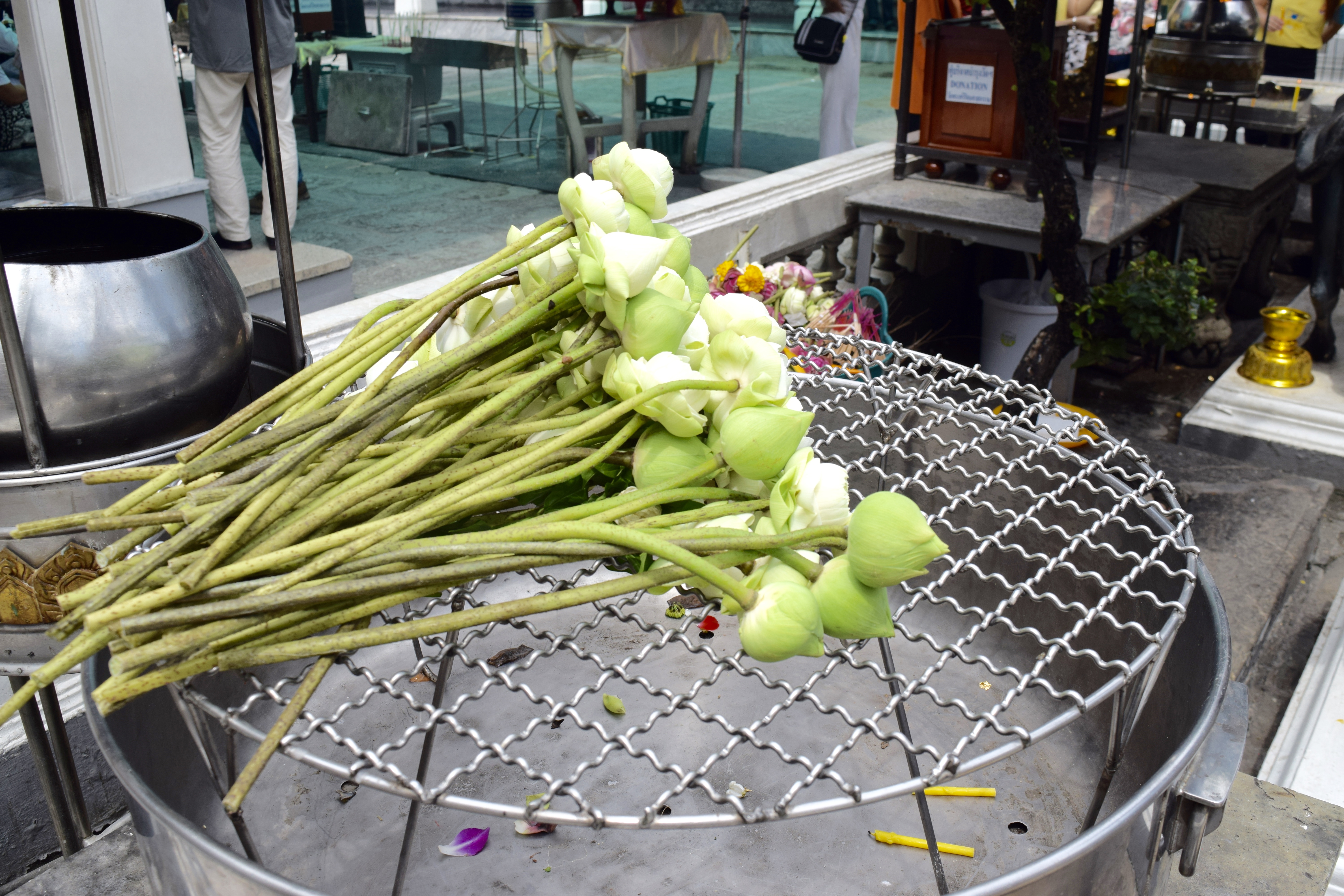 offering flowers grand imperial palace bangkok